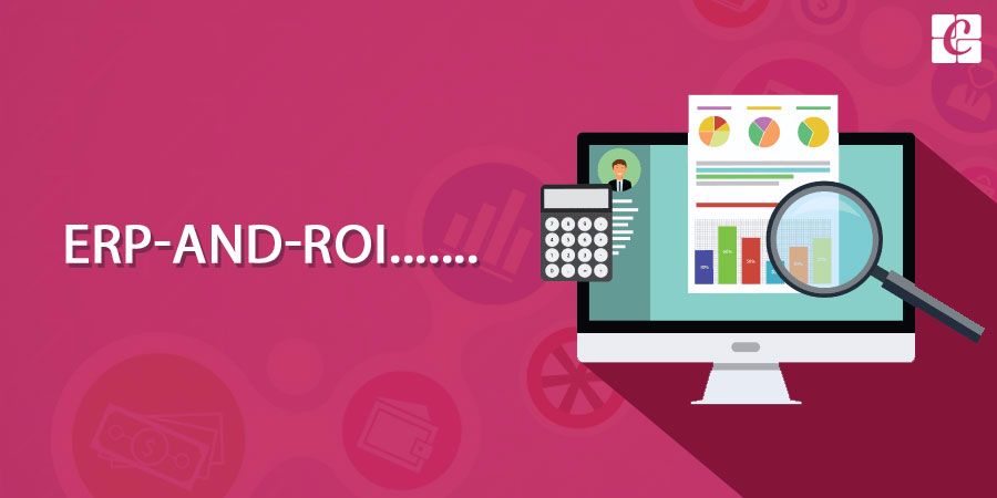  Can company really get significant and continuous return from ERP investment? What is ROI?
